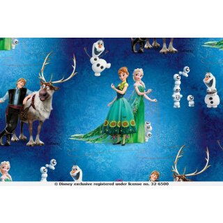 Baumwoll Jersey Stoff Frozen Anna & Elsa Blau Digital Druck